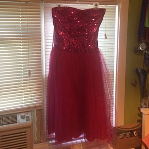 Gorgeous Pink Sequin & Tulle Formal Dress - Barbie