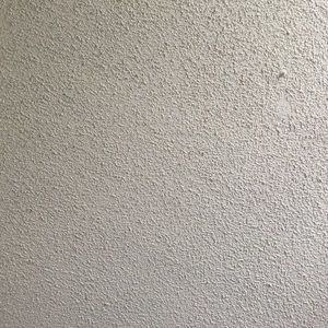 Meet your Posher, Cayse