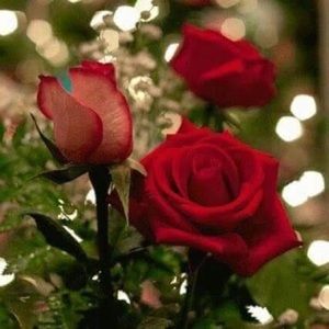 Meet your Posher, Cristian