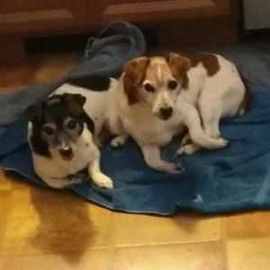 Meet your Posher, Marianne