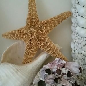 Meet your Posher, Roberta