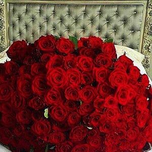 Meet your Posher, Tania