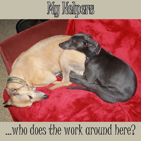 Meet your Posher, Magda of Magda's Closet - Picture 2 of 3