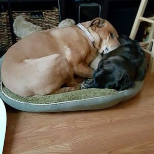 Wake us up.  Make us an offer!