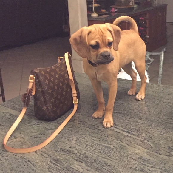 Meet your Posher, Rosanne