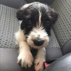 Meet your Posher, Jillian