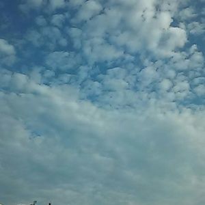 Meet your Posher, Bridget