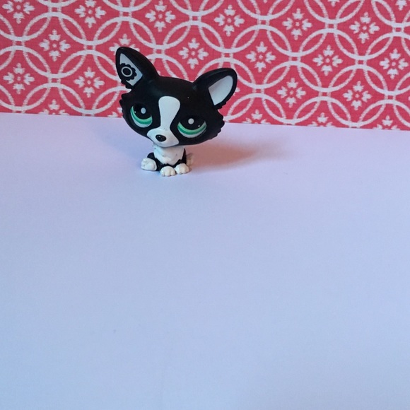 Littlest pet shop corgi