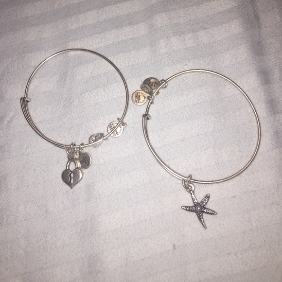 Two Alex and Ani silver bracelets