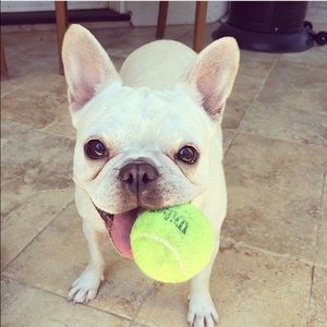 Meet your Posher, Madeleine