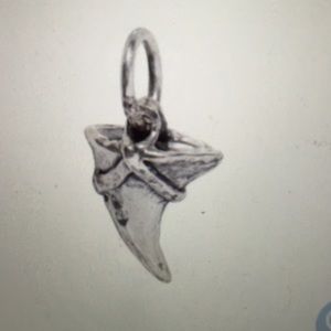 Essence of Life Single Thorn Charm