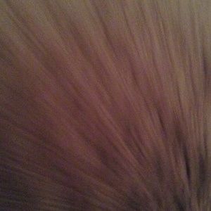 Meet your Posher, Mattie