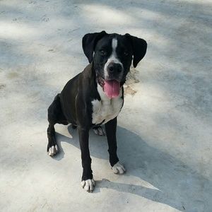 Meet your Posher, Kellie