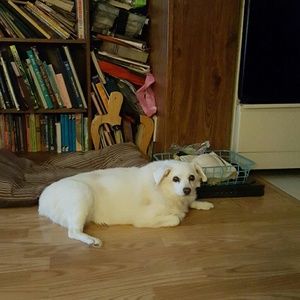 Meet your Posher, Shawna