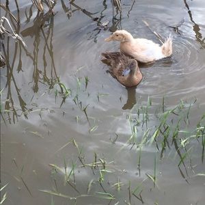 Meet your Posher, Holly