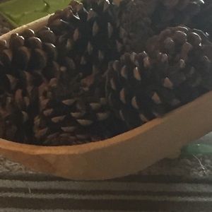 Meet your Posher, Ady