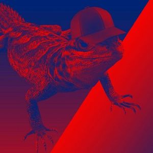 Meet your Posher, Frankii