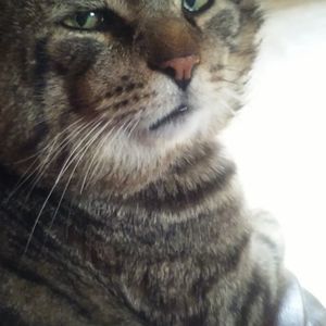 Meet your Posher, Tiffany