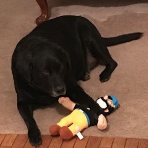 Meet your Posher, Deann