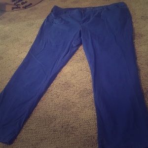 Apt. 9 24W Blue Skinny Leg Pants