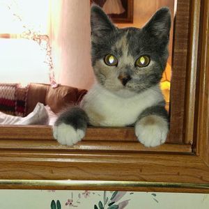 Meet your Posher, Barbara