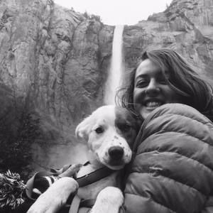 Meet your Posher, Alexa