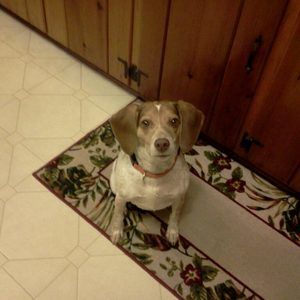 Meet your Posher, Beverlee