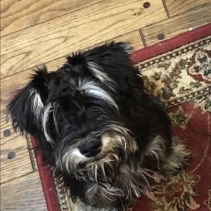 Meet your Posher, Melinda