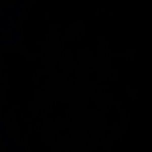 Meet your Posher, Desirae