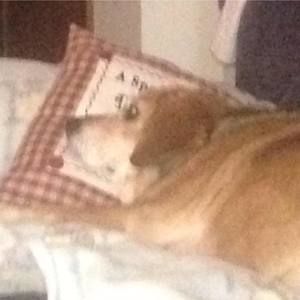 Meet your Posher, Chuck