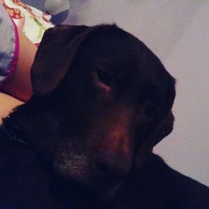 Meet your Posher, Caroline