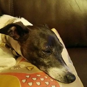 Meet your Posher, Mary