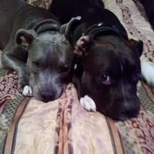 Meet your Posher, Maria d