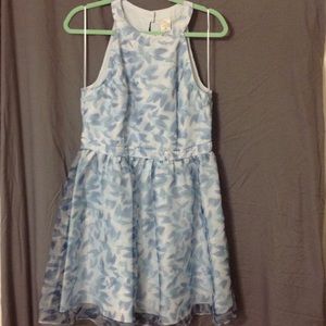 Lauren Conrad Cinderella Dress
