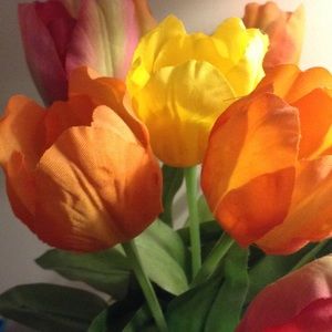 Meet your Posher, Cora