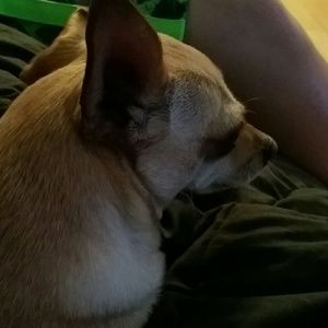 Meet your Posher, Jill