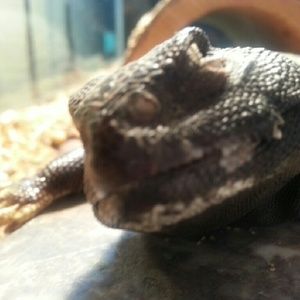 Meet your Posher, Rhonda