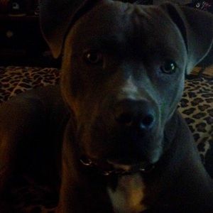 Meet your Posher, Condrea