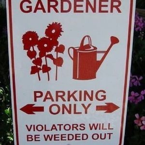 Meet your Posher, Anne