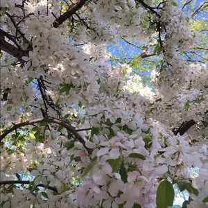 Meet your Posher, Jody