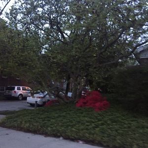 Meet your Posher, Joelle