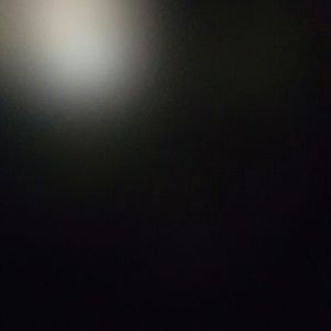 Meet your Posher, Natasha