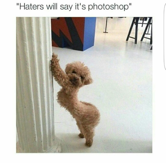 Meet your Posher, Briana