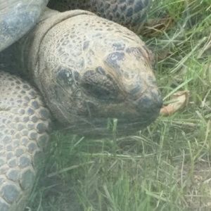 Meet your Posher, Tara