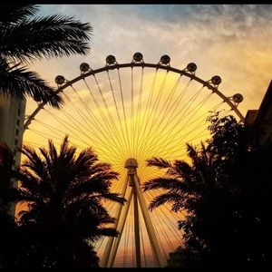 Meet your Posher, Shayne