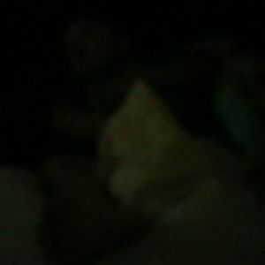 Meet your Posher, Adriana