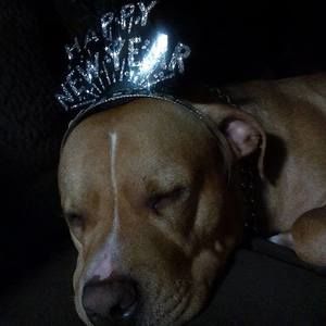 Meet your Posher, Leslie