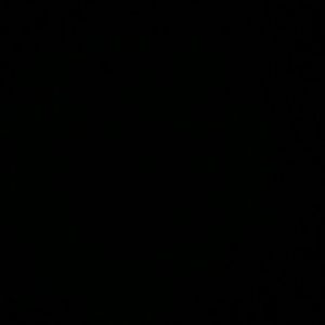 Meet your Posher, Rodney