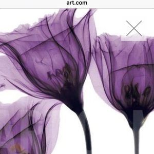 Meet your Posher, Rhonda