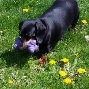 Meet your Posher, Tammy